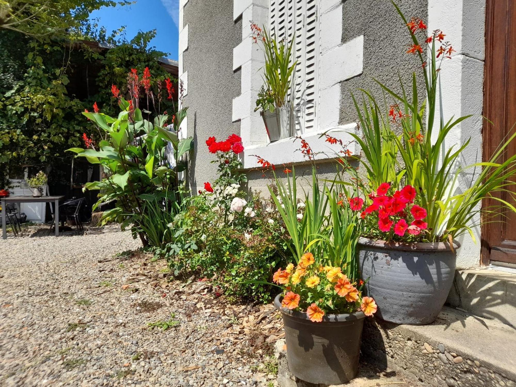Carpe Diem Bed And Breakfast บูลิ-ซัวร์-ดอร์ดองเน ภายนอก รูปภาพ